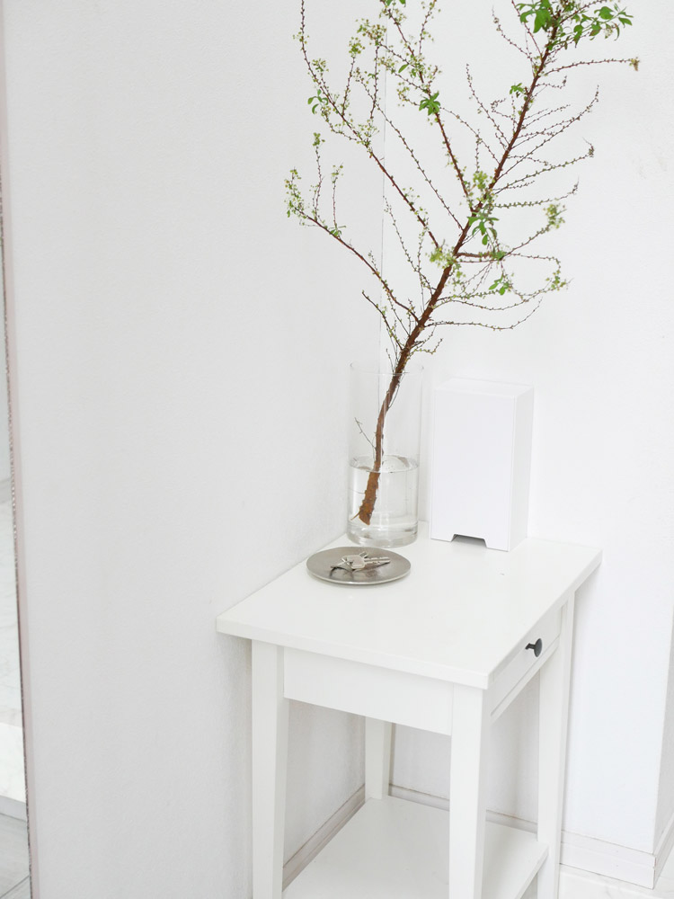 towerタワーの2wayスリムマスク収納ケース