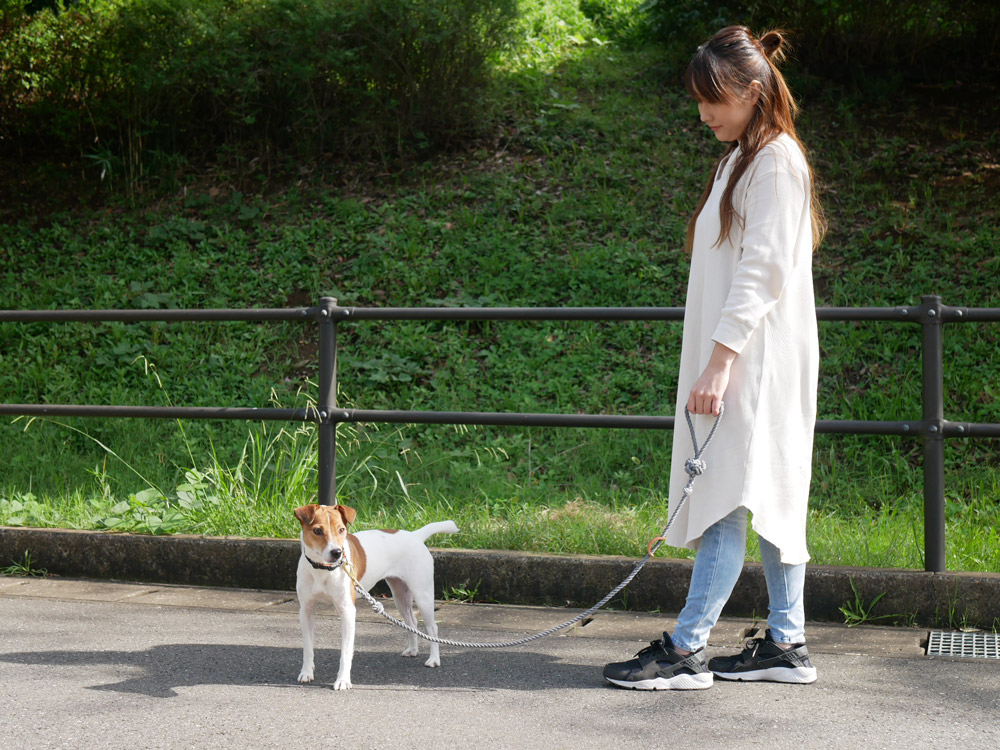 TOOLS FOR THE DOG製グレーメディアムドッグリード、手染め日本製、直径8mm、長さ1200mm、小型から中型犬に適しています