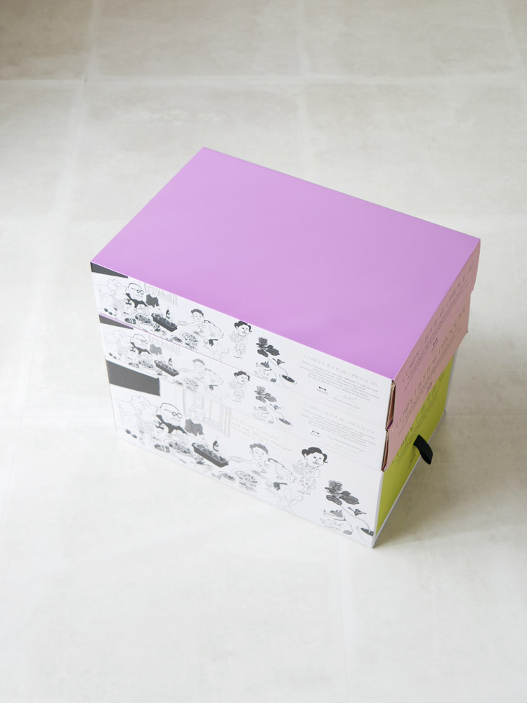 BRUNOコンパクトホットプレート用グラスリッド・スタンドノブ