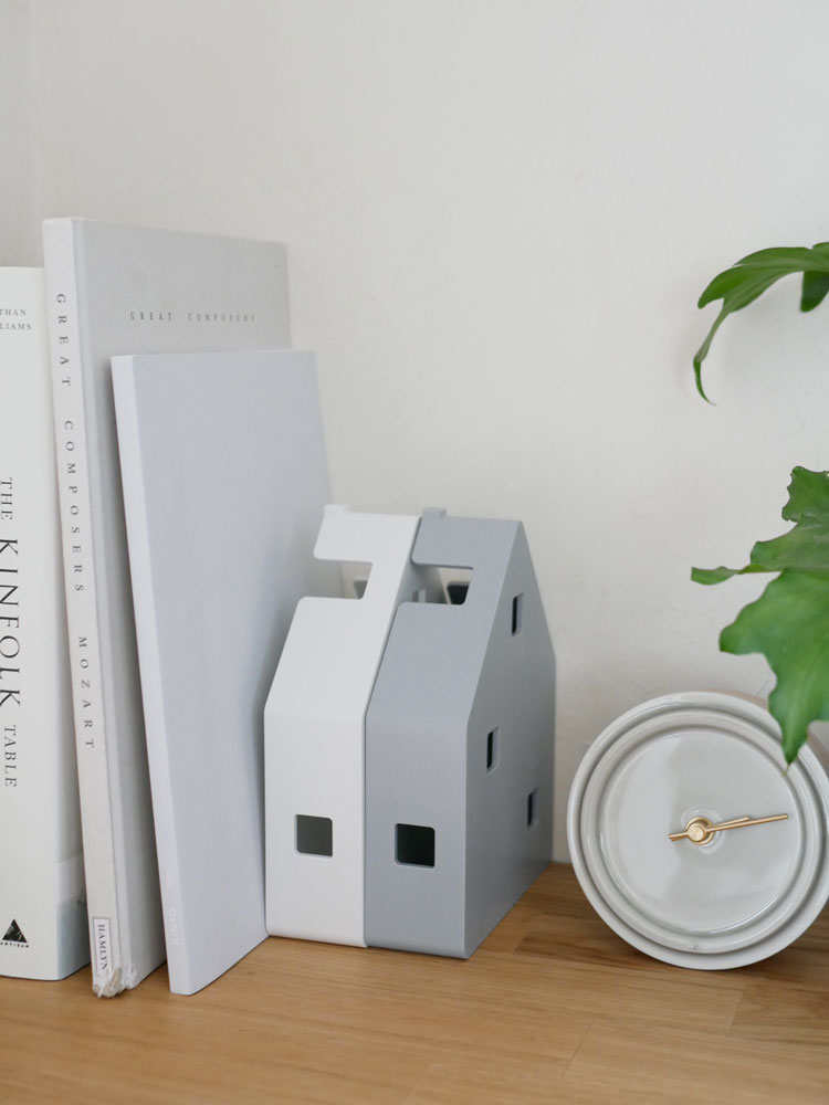 プラスディー製マスクノイエ本体の写真