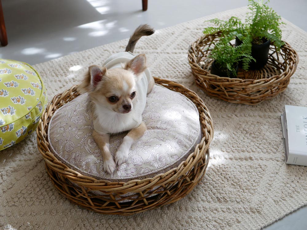 ホーンプリーズ製アラログシャロウバスケット