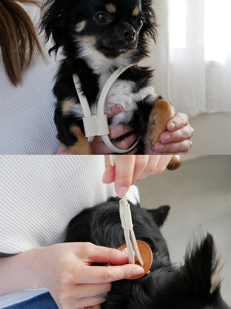 Horn Please MADEのヴィーガンレザー製小型犬用ハーネス。胴回り約30×40cmで、シンプルかつスタイリッシュなデザイン。