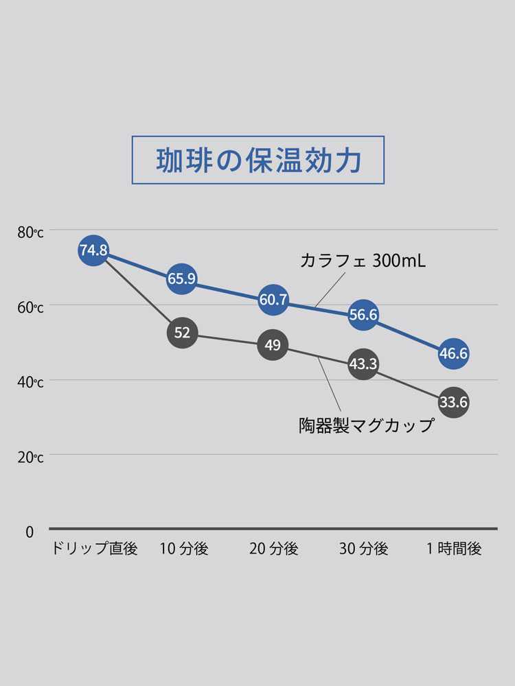 manaマーナの白いダブルウォールカラフェ