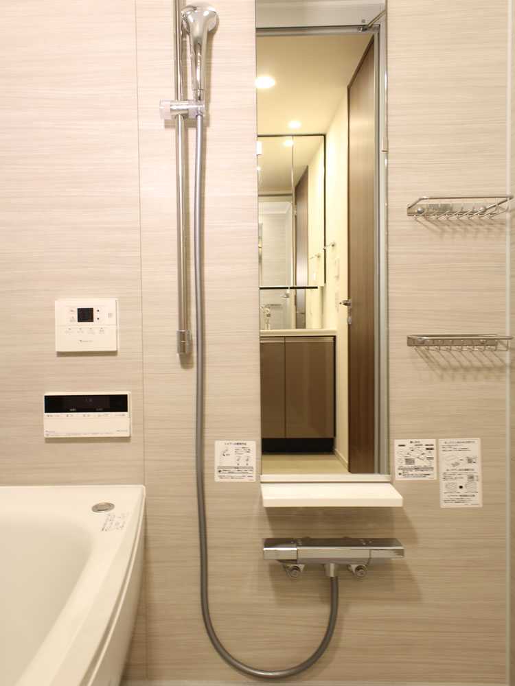 Vivaナノバブルシャワーホース本体