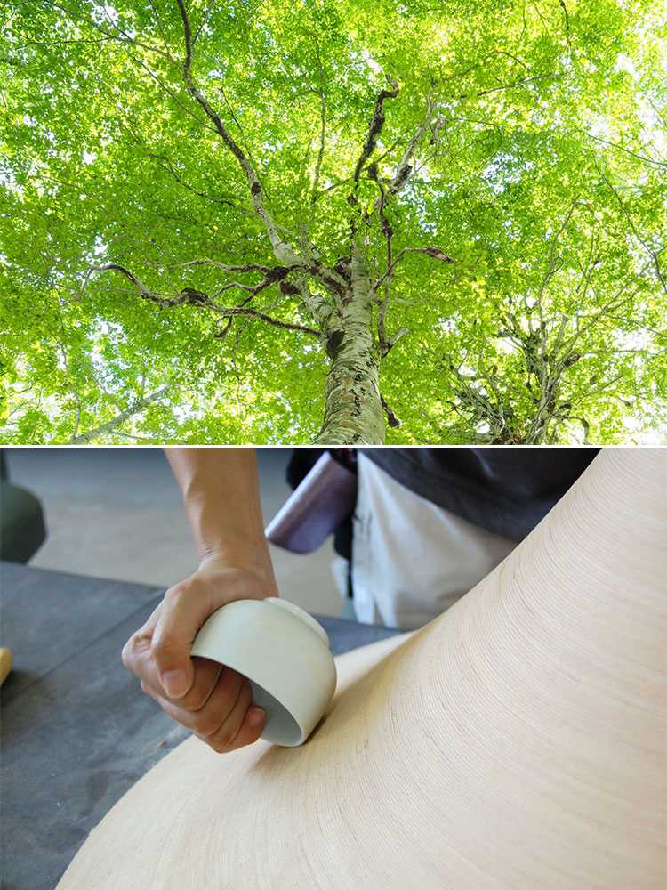 BUNACOブナコの天然木製スリムティッシュボックス