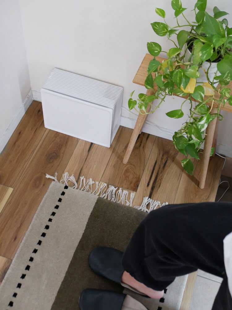 ドウシシャの置き場所を選ばない薄型空気清浄機の写真