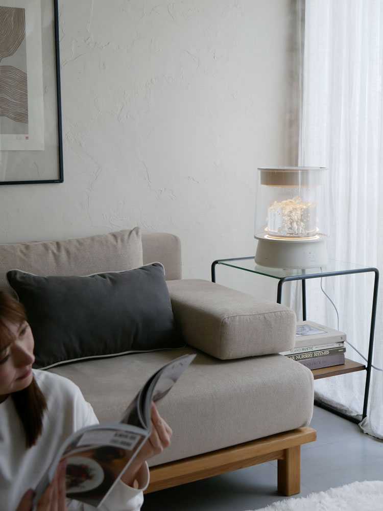 ソファとクワッズのガラススチーム加湿器があるリビング