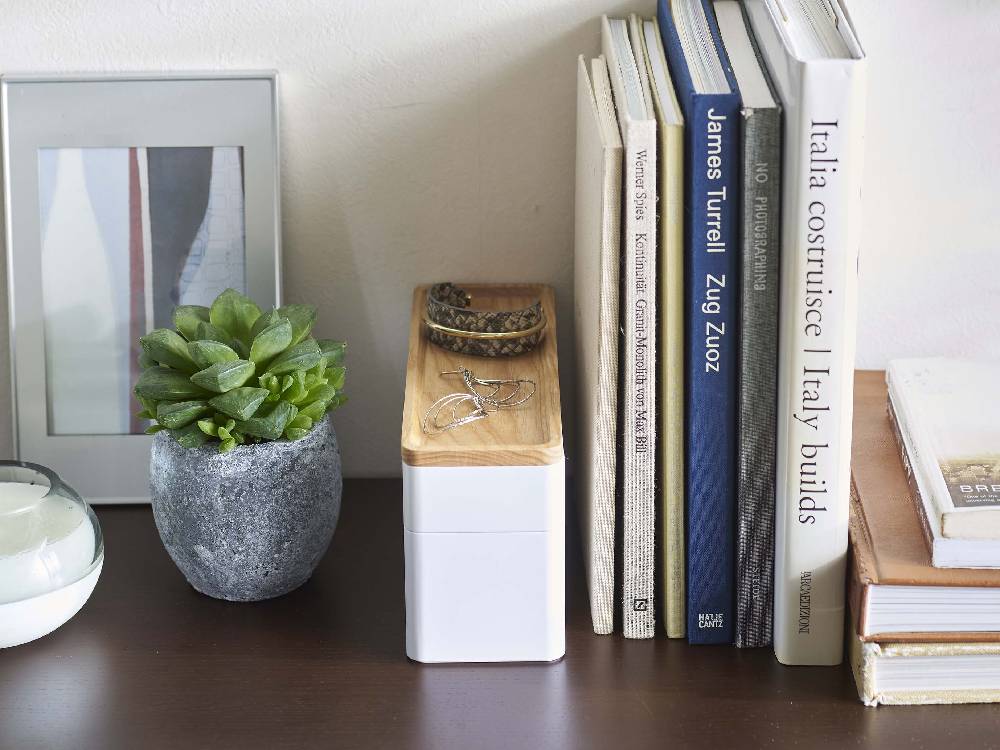 RINブランドのトレー付きスリムアクセサリー＆時計ケース