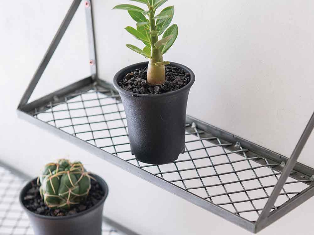 ポッシュリビングのアイアンメッシュラック