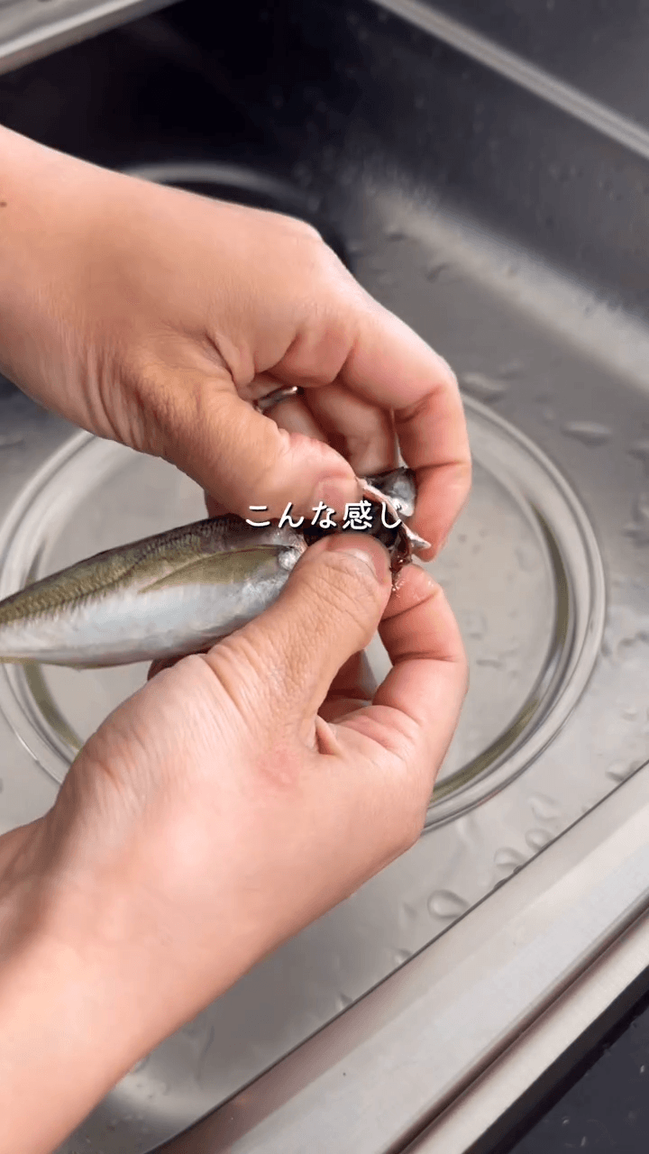 一瞬でできる！アジ下処理🐟の作り方1の画像